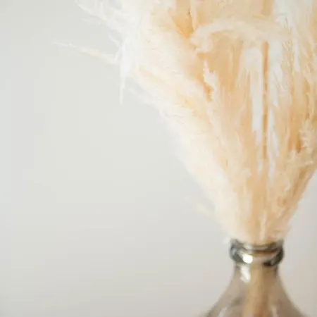 Maison Martine Daire Saint-Tropez