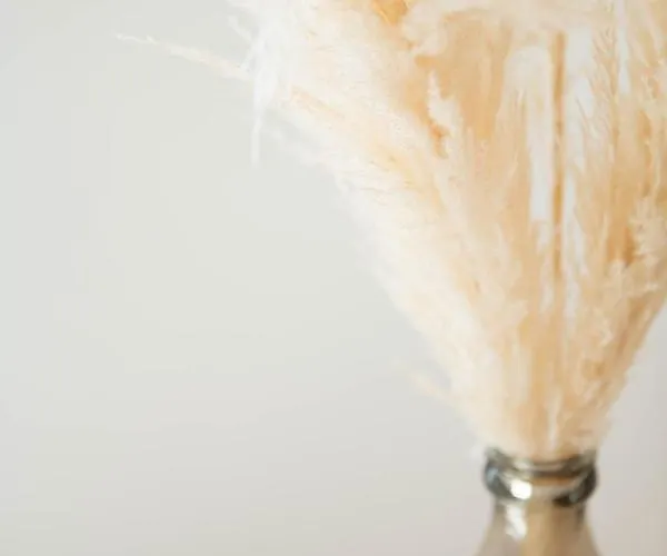 Maison Martine Apartment Saint-Tropez